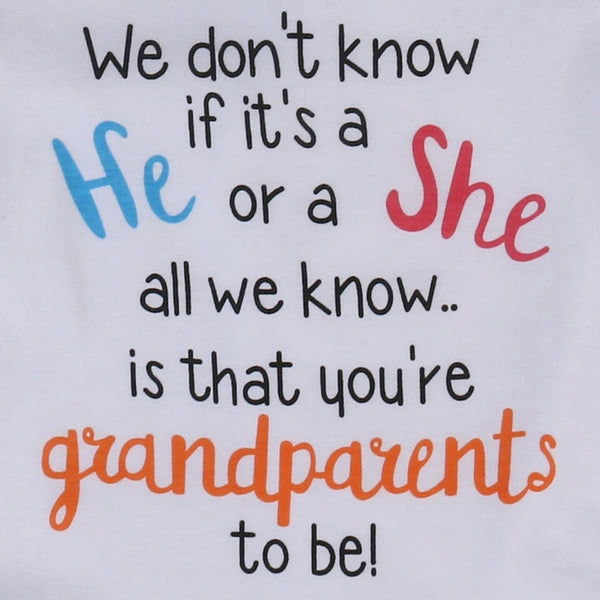 Pregnancy Announcement Bodysuit